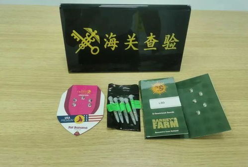 日用品藏毒案 南寧海關(guān)查獲大麻種子