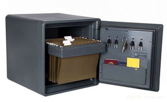 防水保險(xiǎn)柜品牌介紹與購(gòu)買(mǎi)技巧